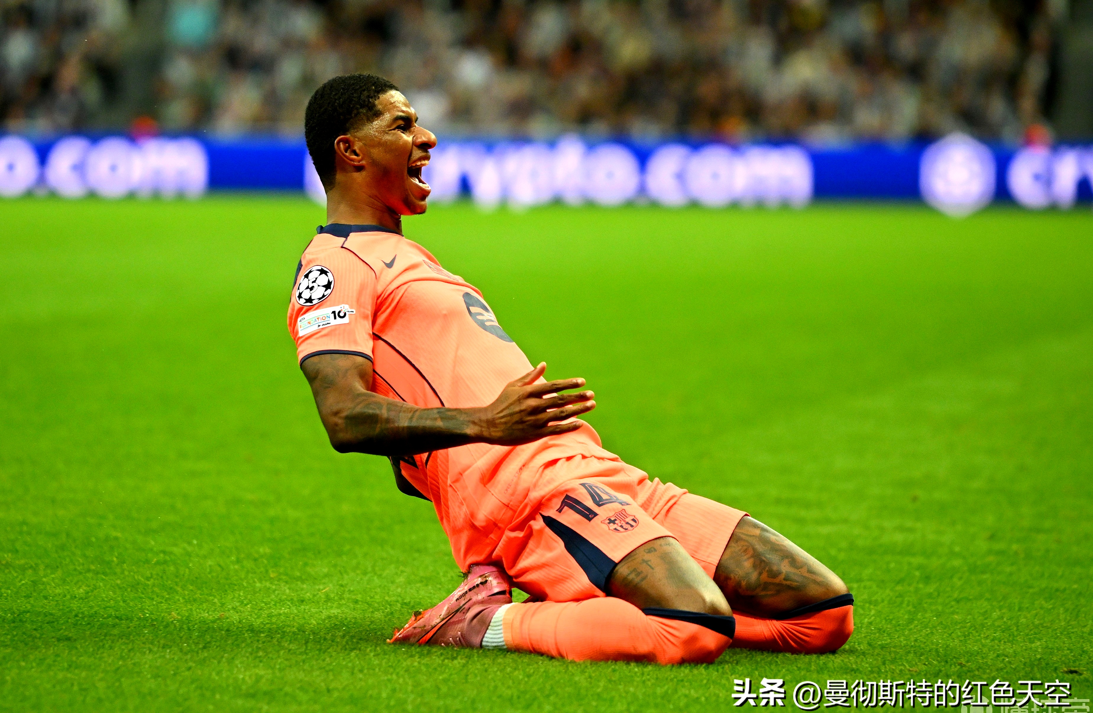 菲尼克斯太阳球员合同最新JJB官网